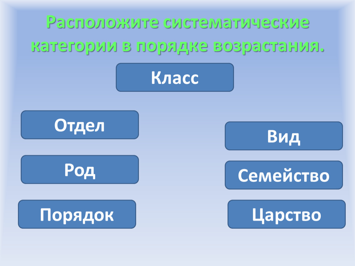 Систематические категории в порядке возрастания. Вид класс род порядок. Царство отдел класс семейство род вид. Царство отдел класс порядок семейство. Порядок класс род семейство.