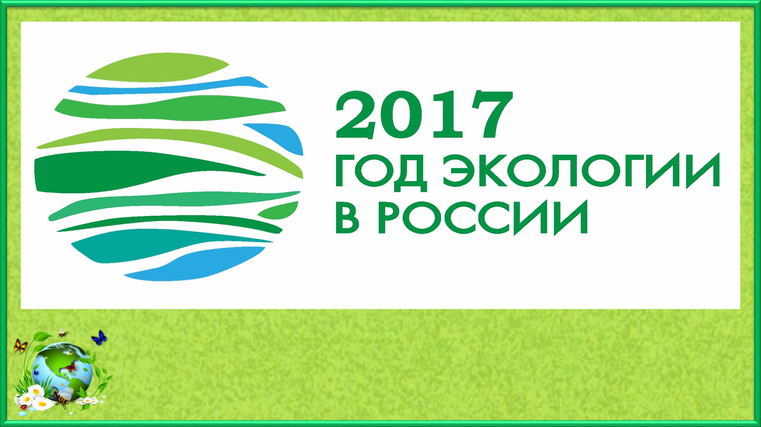 Листал сайт. Библиотечный урок по экологии листая страницы красной книги.