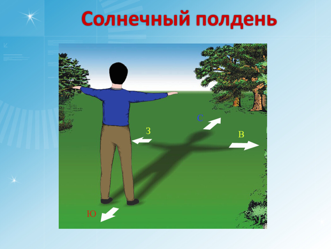 Солнечный полдень. Истинный Солнечный полдень. Живые ориентиры на местности. Живые ориентиры 5 класс. В Солнечный полдень тень указывает направление на.