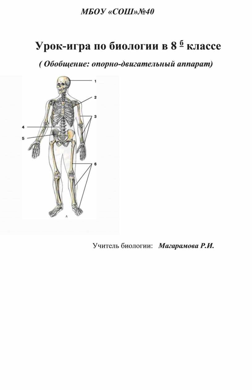 игра опорно двигательный аппарат (99) фото