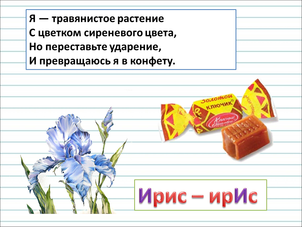 Грамота ударение. Ударение как определить ударный слог. Ирис конфета ударение. Ирис Ирис ударение. Ирис цветок и конфета ударение.