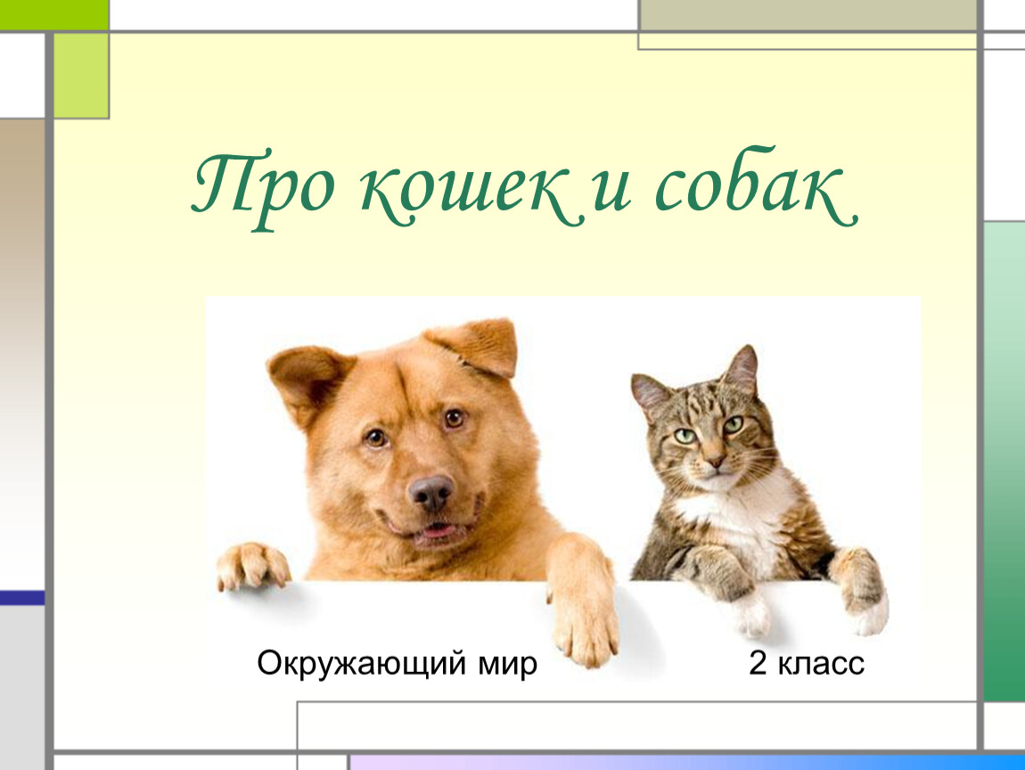 Про кошек и собак окружающий мир 2 класс плешаков школа россии презентация