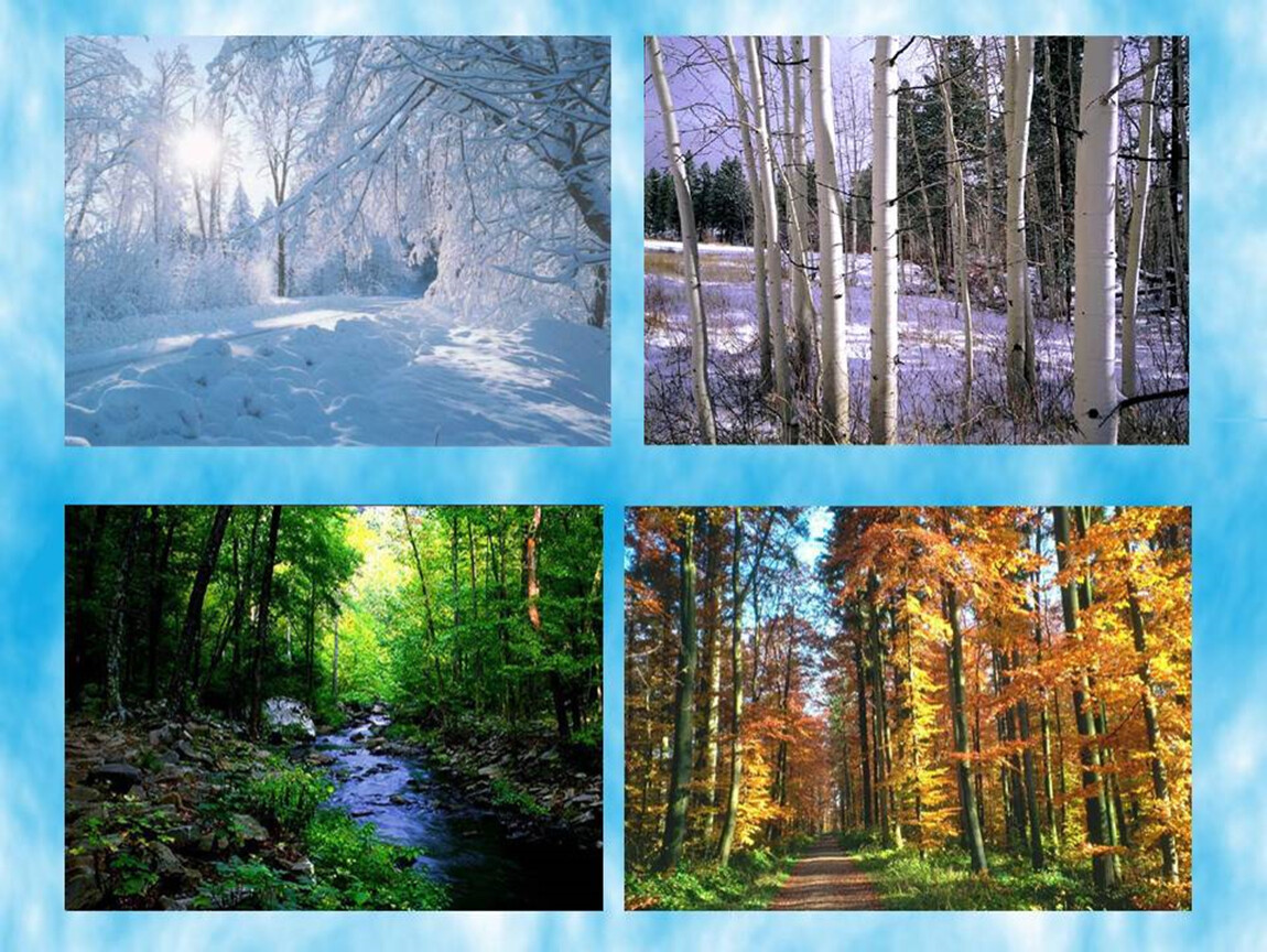 Seasons in russia. Времена года. Пейзаж по временам года. Лес в Разное время года. Природа в разные времена года.