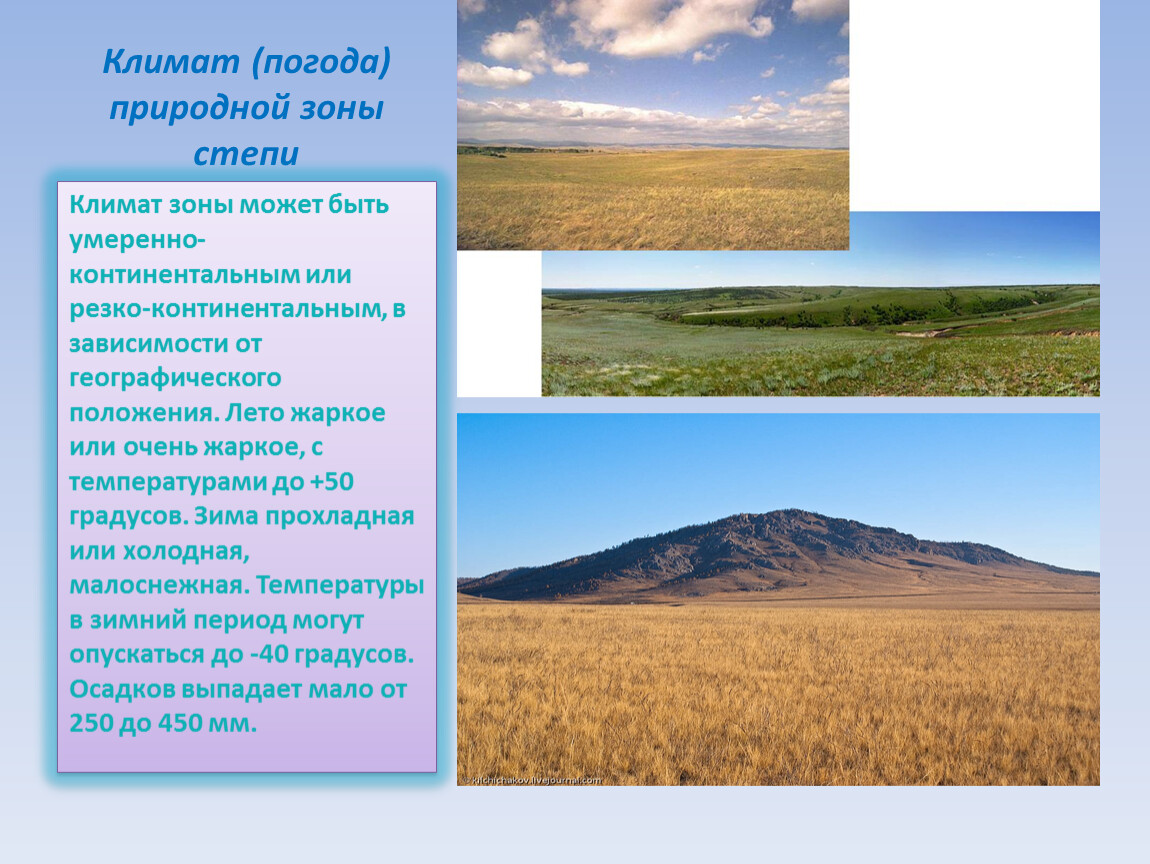 Какие природные зоны есть в степи. Климат степи в России в степи. Зона степей климат. Климат степей России 4 класс окружающий мир. Климат Степной зоны.
