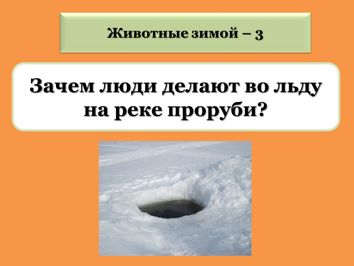 Зачем зимой. Зачем во льду делают проруби. Зачем зимой во льду делают проруби. Загадка про прорубь. Сложная загадка про прорубь.