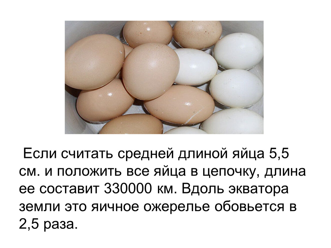 Как отличить яйца. Определить пола цыпленка по яйцу. Как определить пол цыпленка по яйцу. Как определить пол по яйцу у курицы. Определить пол по яйцам кур.