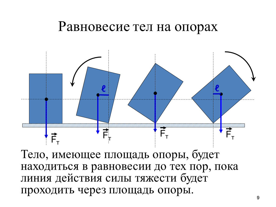 Точка равновесия. Площадь опоры тела. Линия действия силы. Равновесие тела на опоре. Площадь опоры формула.