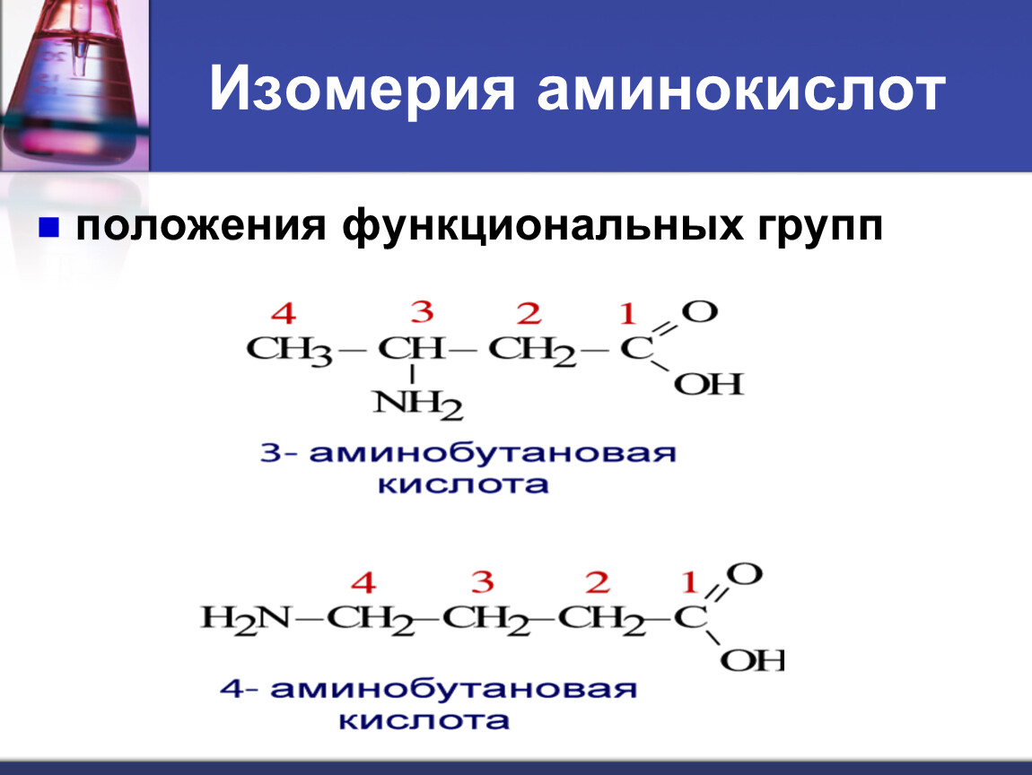 Какие функциональные группы аминокислот. Изомерия функциональной группы Аминов. Изомерия положения функциональной группы аминокислот. Аминокислоты. Классификация, номенклатура, изомерия.. Амины. Аминокислоты изомеры.