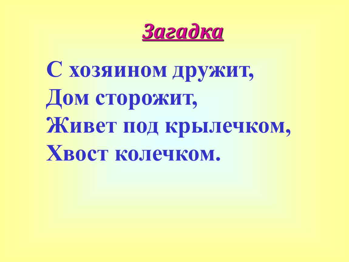 с хозяином дружит дом сторожит живет под крылечком хвост колечком что это (97) фото