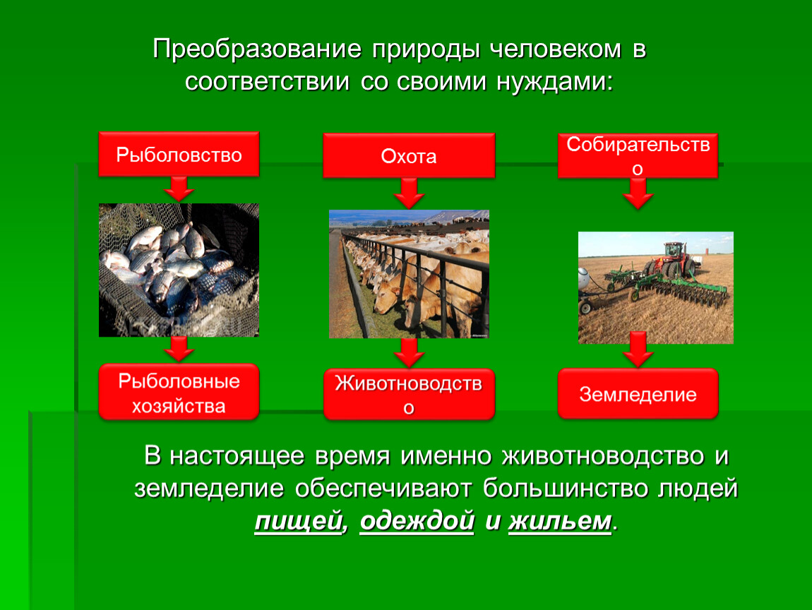 Деятельность направлена на преобразование природы