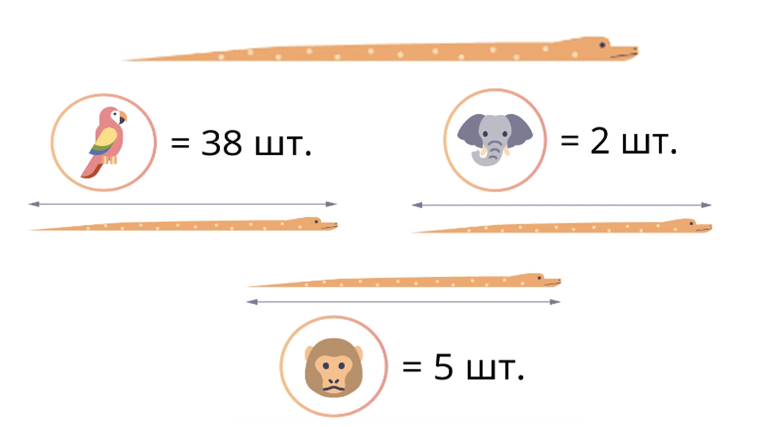 Мера длины 6 букв на м. Длина кролика измерение. Штриховая мера длины.