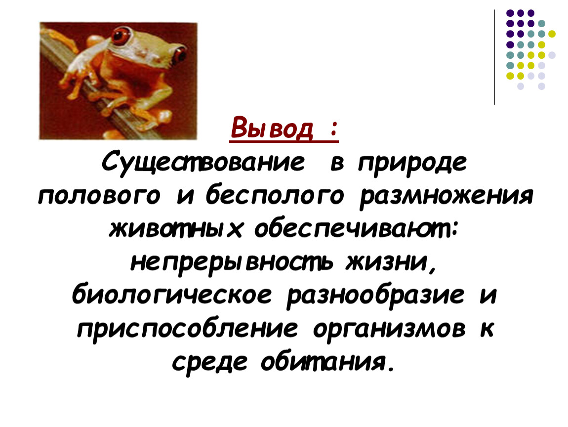 Вывод животных. Вывод на тему бесполое размножение. Вывод без полое размножение. Половое и бесполое размножение вывод. Вывод бесполого и полового размножения.