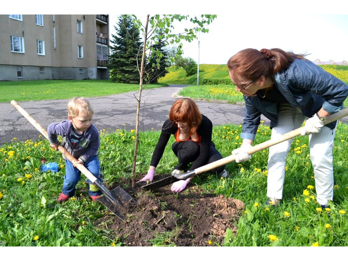 Работа людей весной. Посадка деревьев. Сажать цветы и деревья. Весенняя посадка деревьев. Дети сажают деревья.