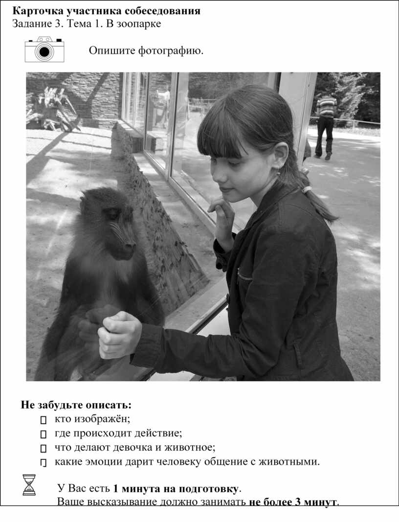 Девушки и обезьяна в зоопарке