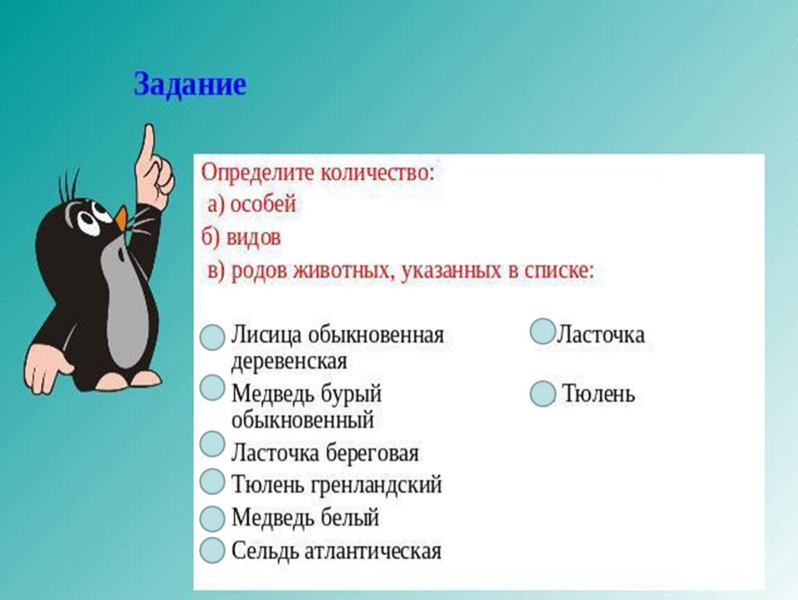 Классификация животных для своих одноклассников. Систематика животных задания. Задание на классификацию животных. Классификация животных 7 класс биология урок.