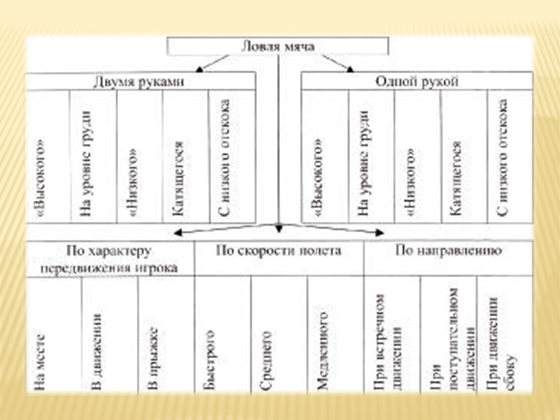 Ловля мяча в баскетболе. Классификация техники ловли мяча в баскетболе. Ловля мяча в баскетболе схема. Ловля и передача мяча классификация баскетбол. Классификация ловли мяча в баскетболе схема.