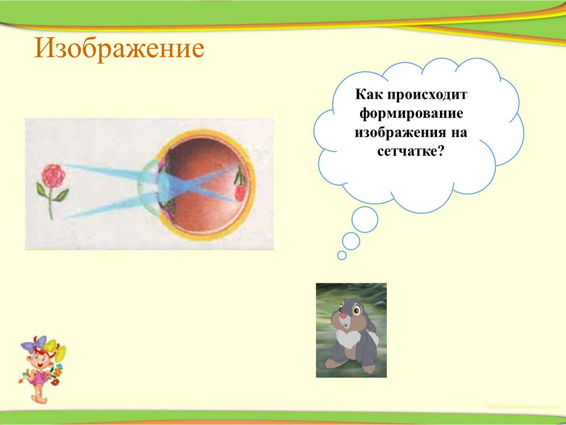 Формирование изображения. Как происходит формирование изображения на сетчатке. Какое изображение формируется на сетчатке. Рис 164 формирование изображения на сетчатке глаза на бумаге ответы. 24 Тест по биологии 8 класс зрительный анализатор.