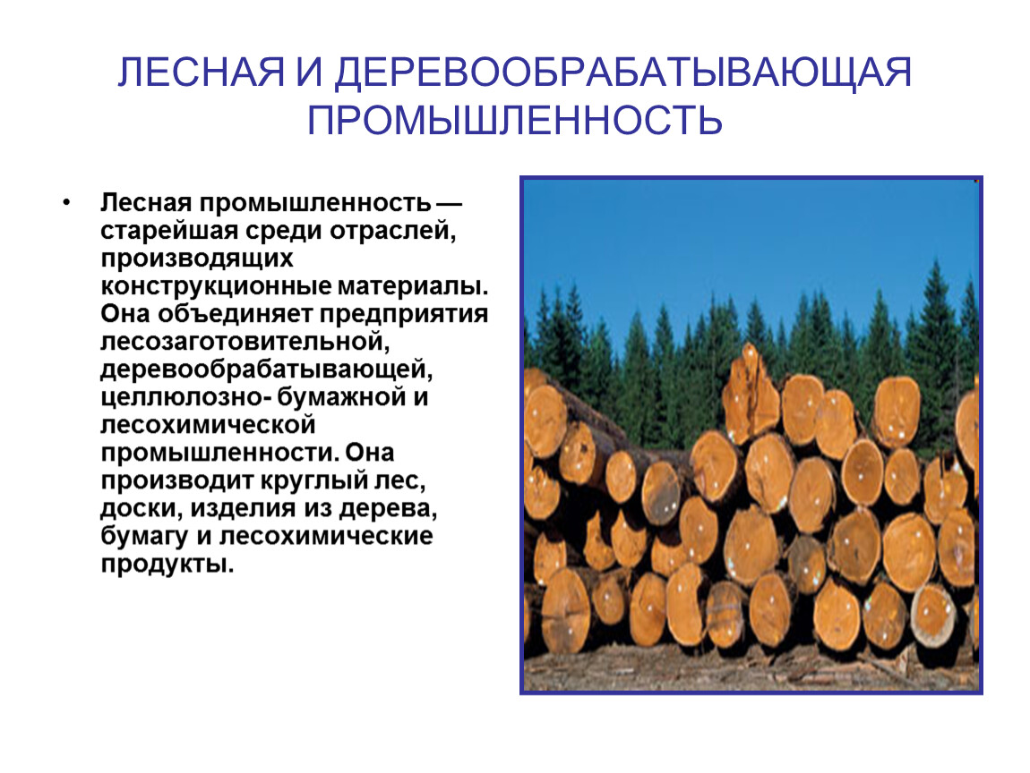 География лесного комплекса. Лесная, деревообрабатывающая и лесохимическая промышленность. Структура Лесной промышленности лесозаготовка Деревообработка. Целлюлозно бумажная отрасль Лесной промышленности.