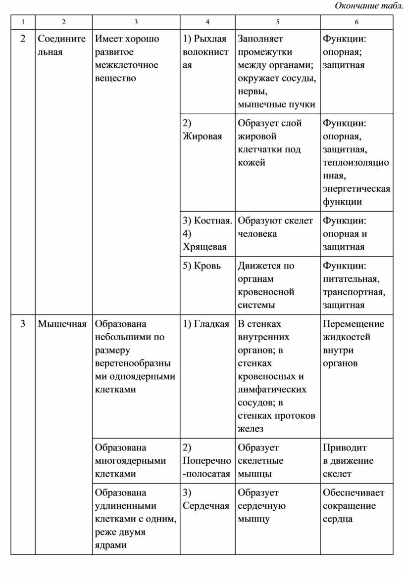 Общий план строения и значение анализатора таблица