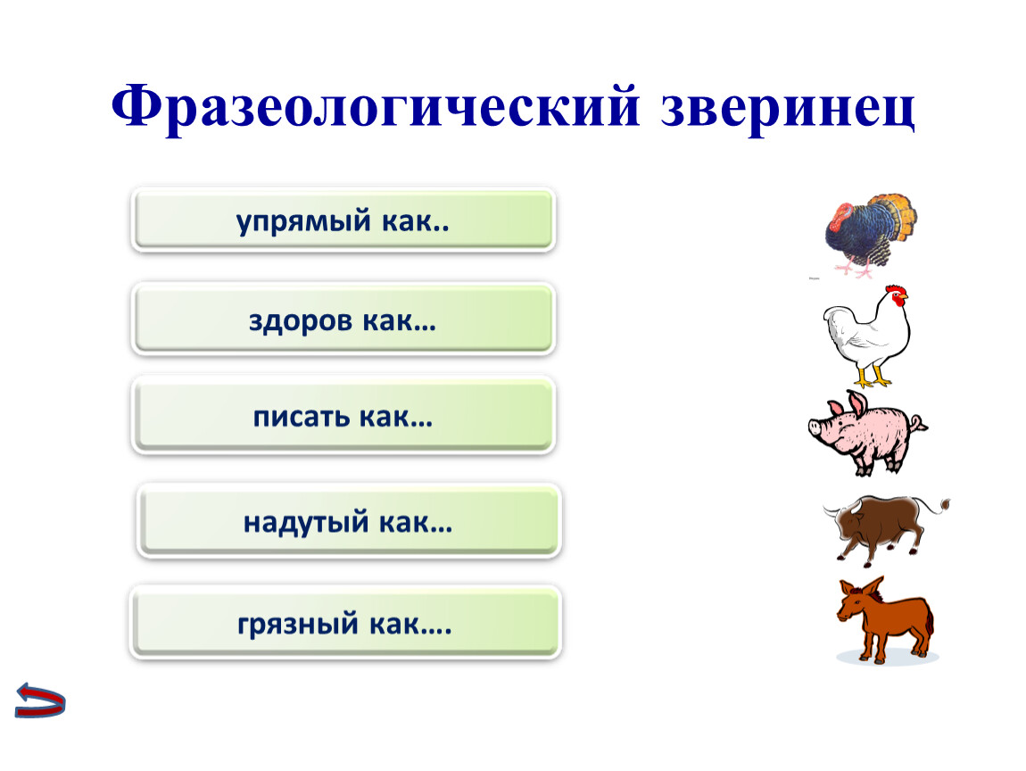 Проект по теме зверинец в котором живут фразеологизмы