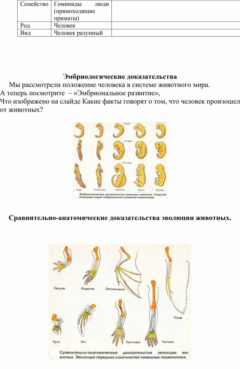 Методическая разработка урока 