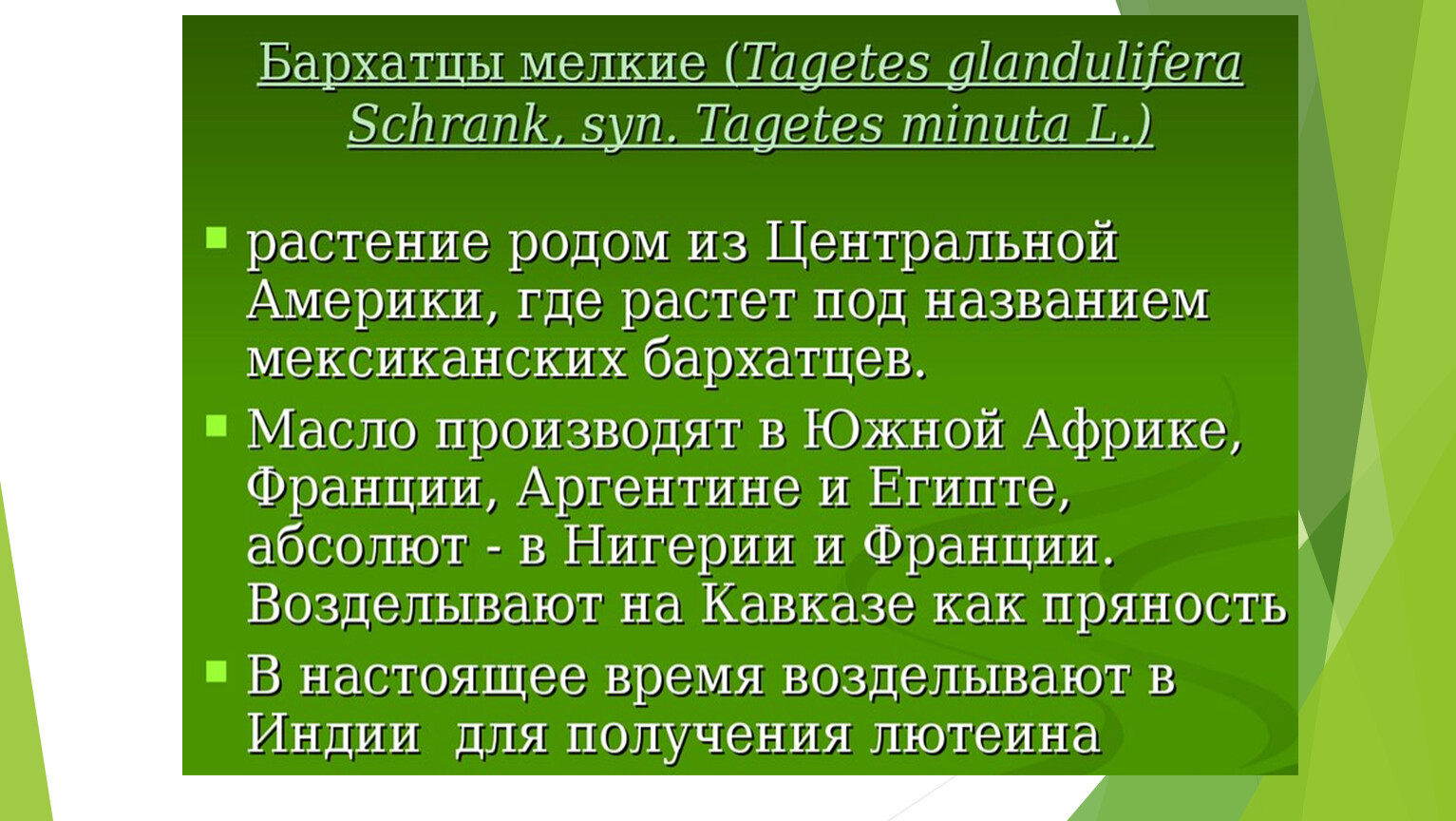 Интродукция овощных в западной сибири