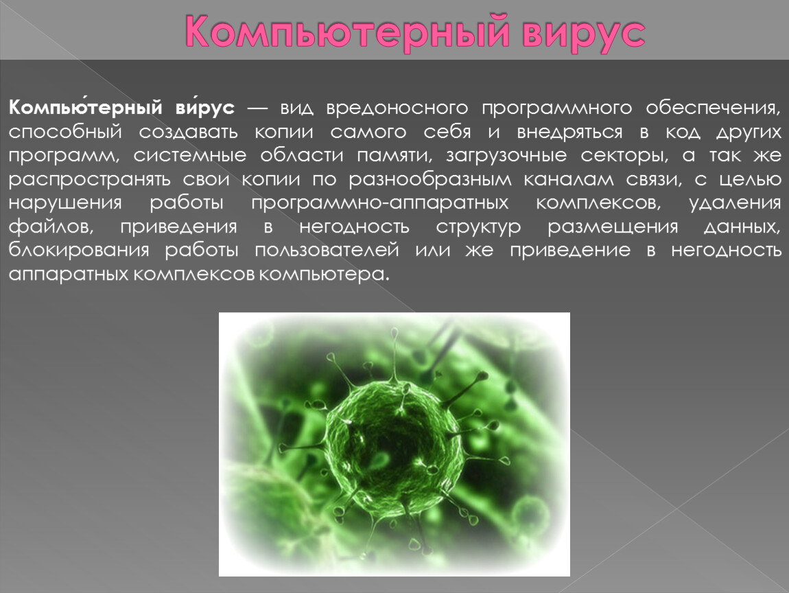 Виды типы вирусов. Разновидности вирусов. Разновидности вирусов компьютера. Типы вредоносных программ. Компьютерные вирусы реферат.