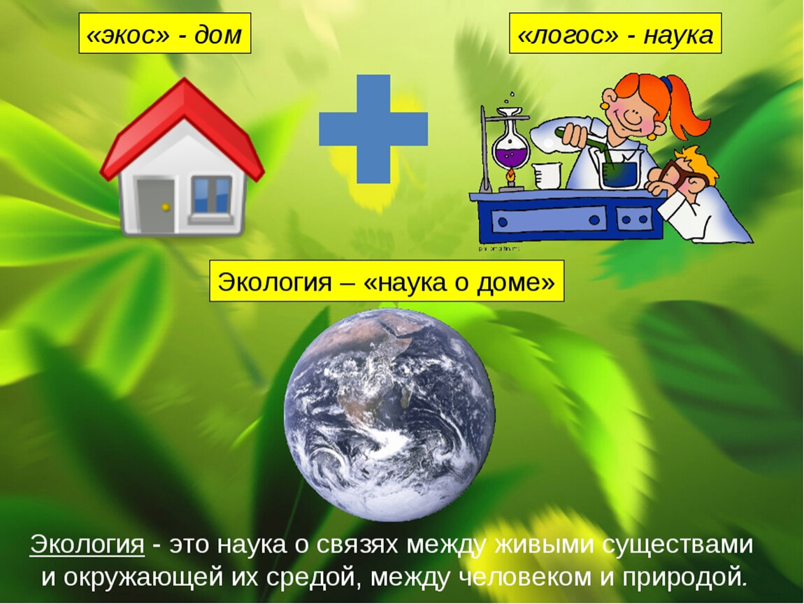 Задания к уроку к экологическая безопасность. Экология наука о доме. Экология презентация. Экологические презентации для детей. Окружающий мир экология.