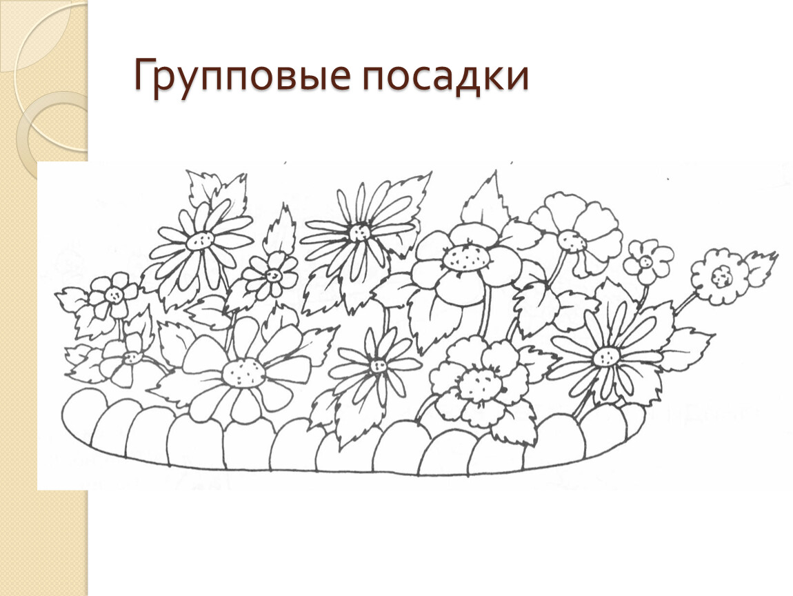 Эскиз клумбы рисунок