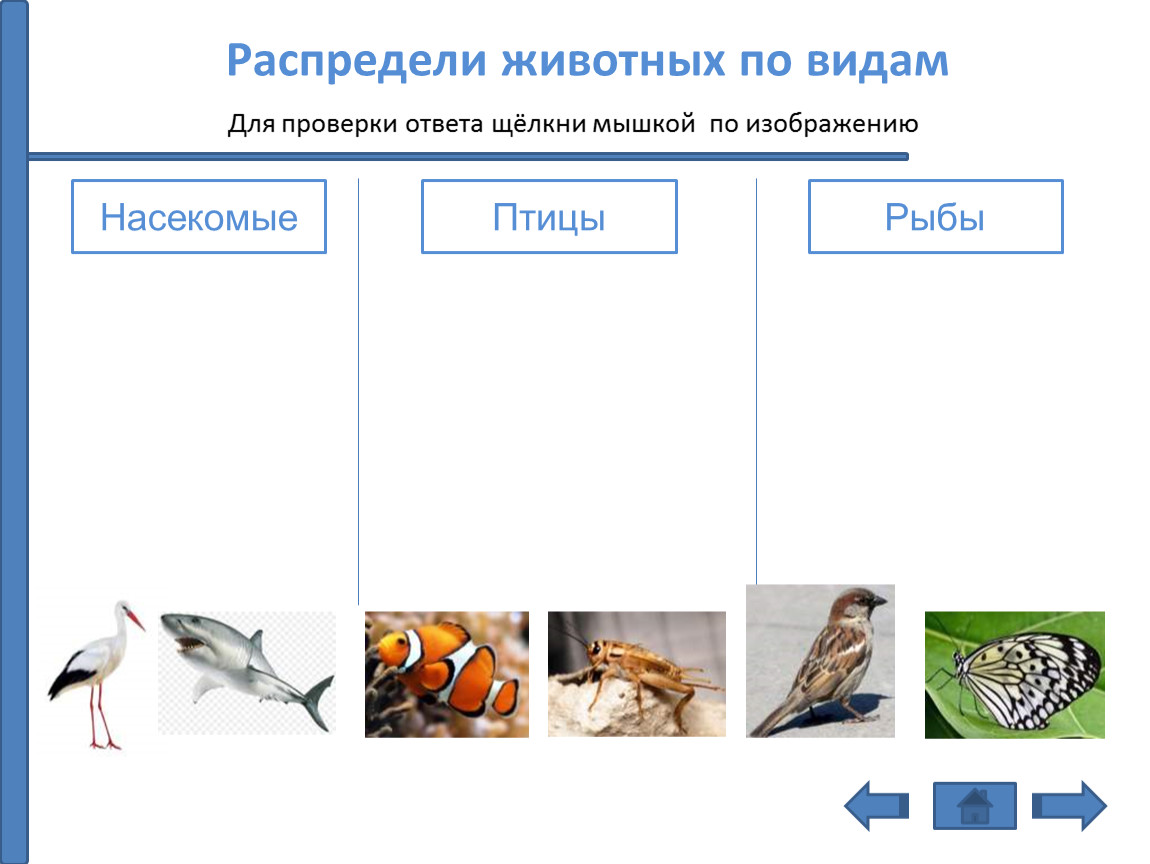 Использование триггеров в презентации