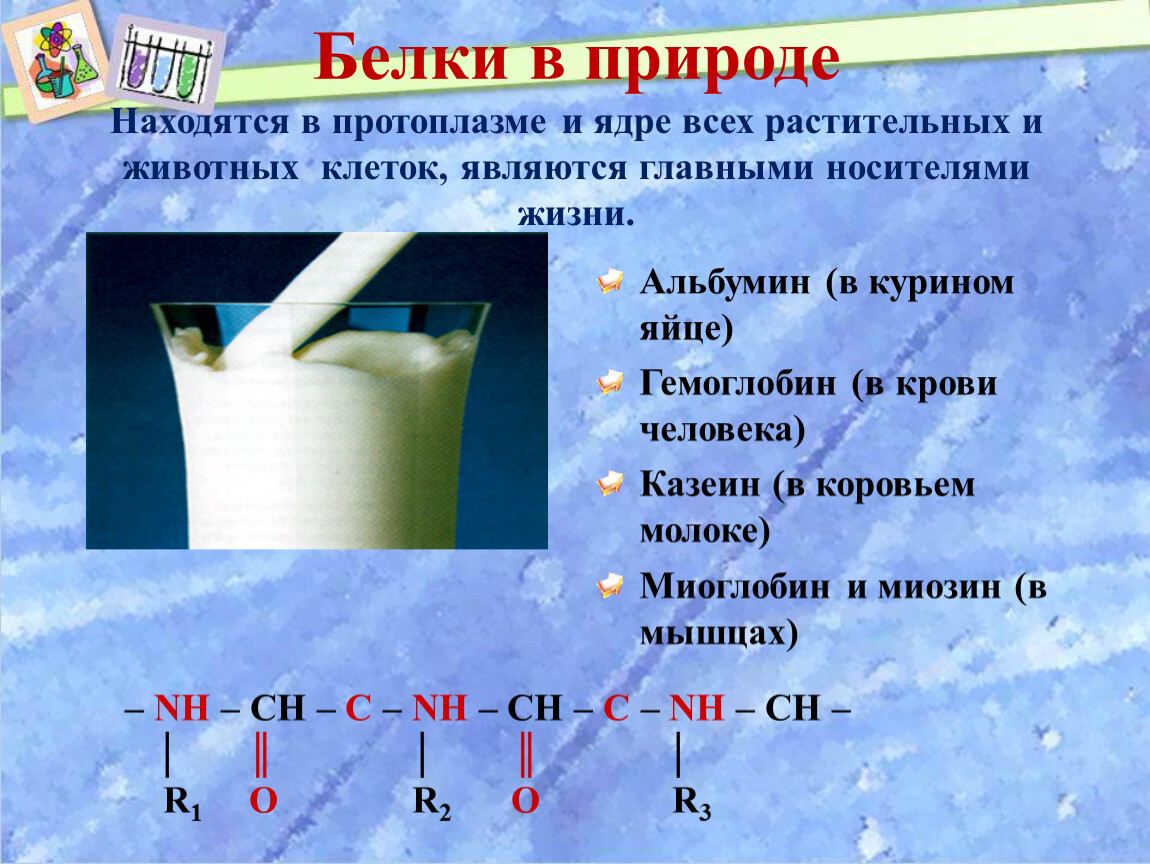 Где встречаются белки. Нахождение белков в природе. Нахождение белков в природе химия. Белки в природе химия. Белки нахождение в природе.