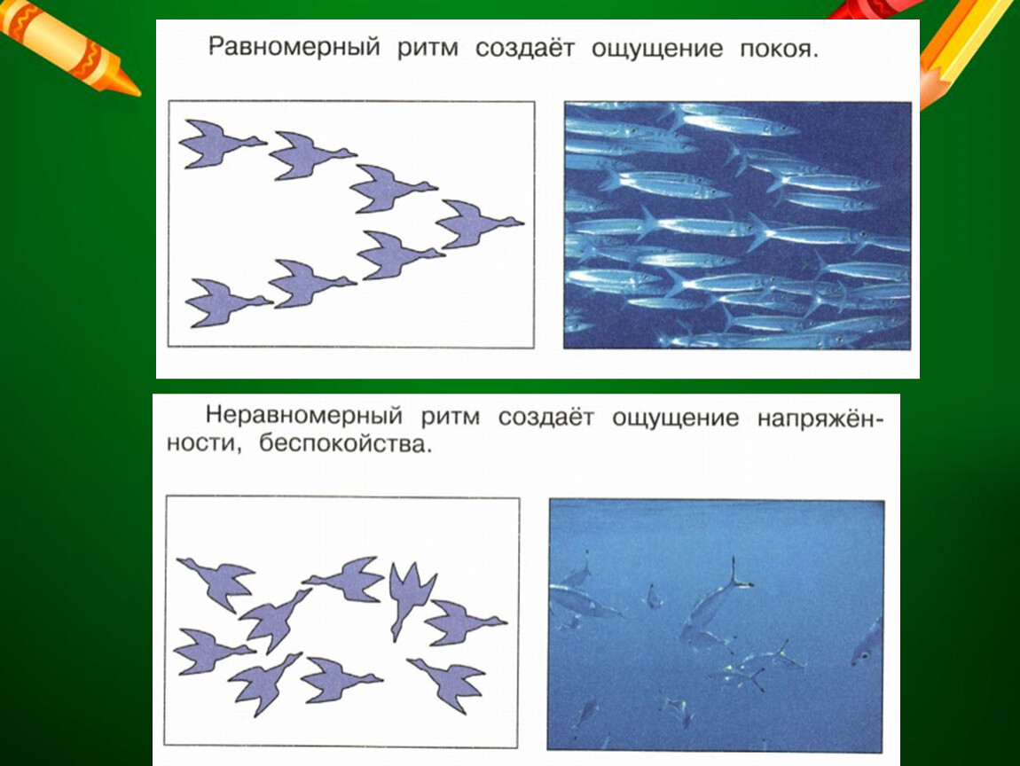 Ритмичность рисунок по биологии