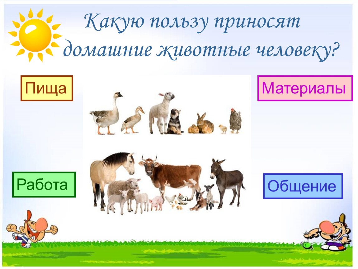 Окружающий мир дикие и домашние животные. Какую пользу приносят домашние животные. Какую пользу приносят животные людям. Какую пользу приносят домашние животные человеку. Модель домашних животных для человека.