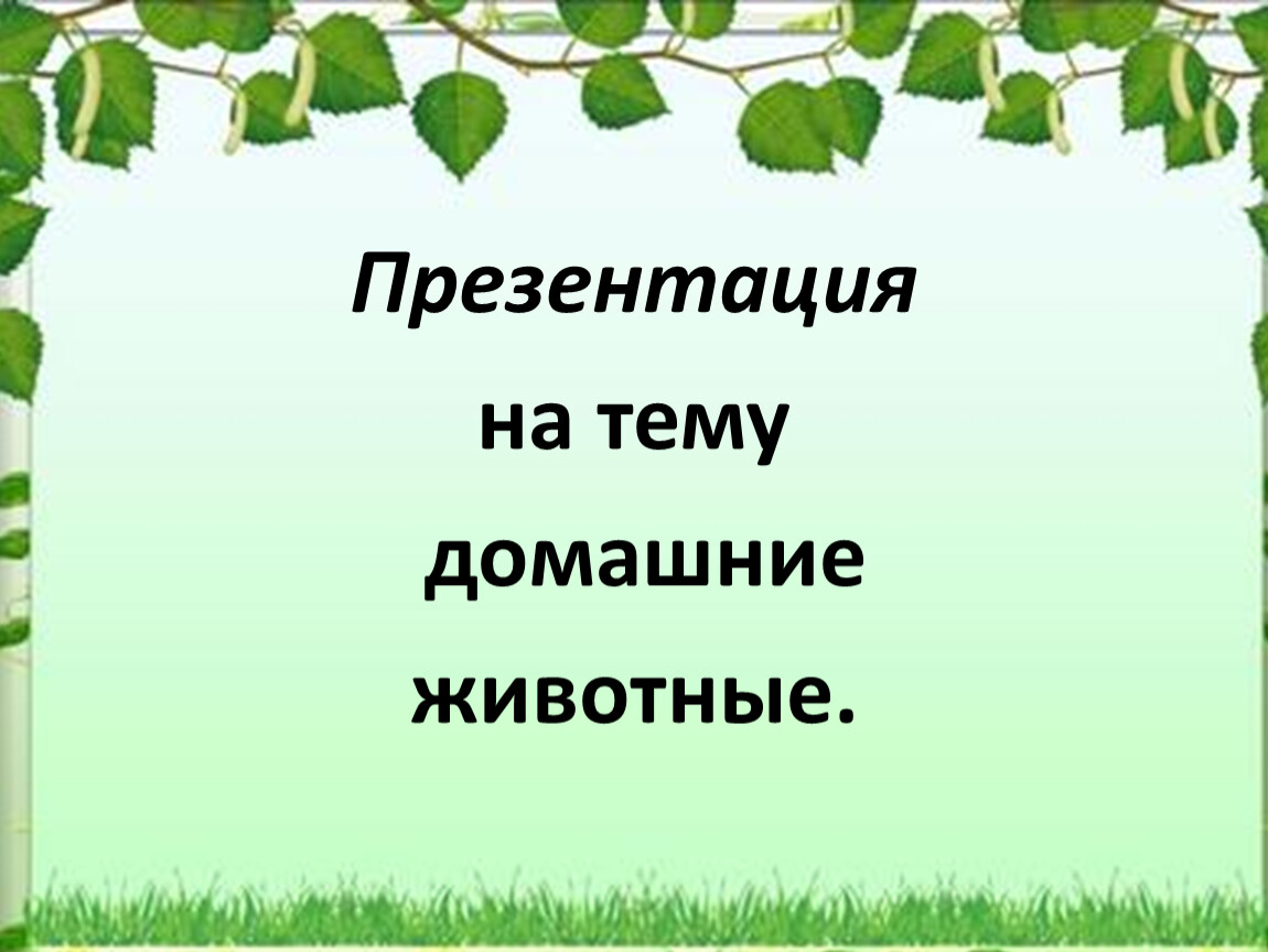 Презентация на тему мои домашние животные 7 класс