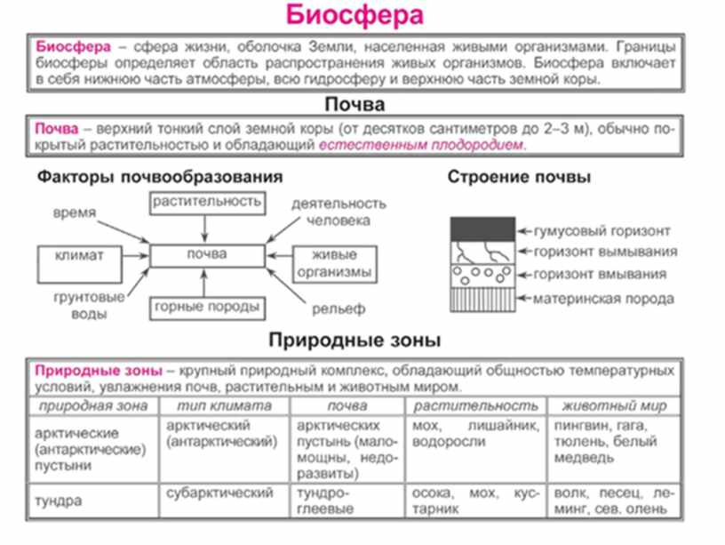 границы биосферы таблица. биосфера границы биосферы таблица. структурные элементы биосферы. егэ география в схемах и таблицах. природные явления в биосфере.