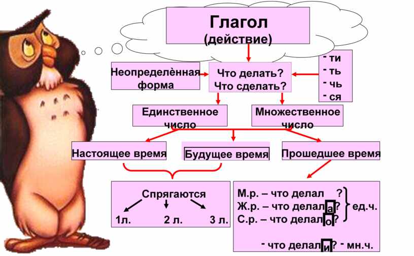Презентация глагол 5 класс русский язык