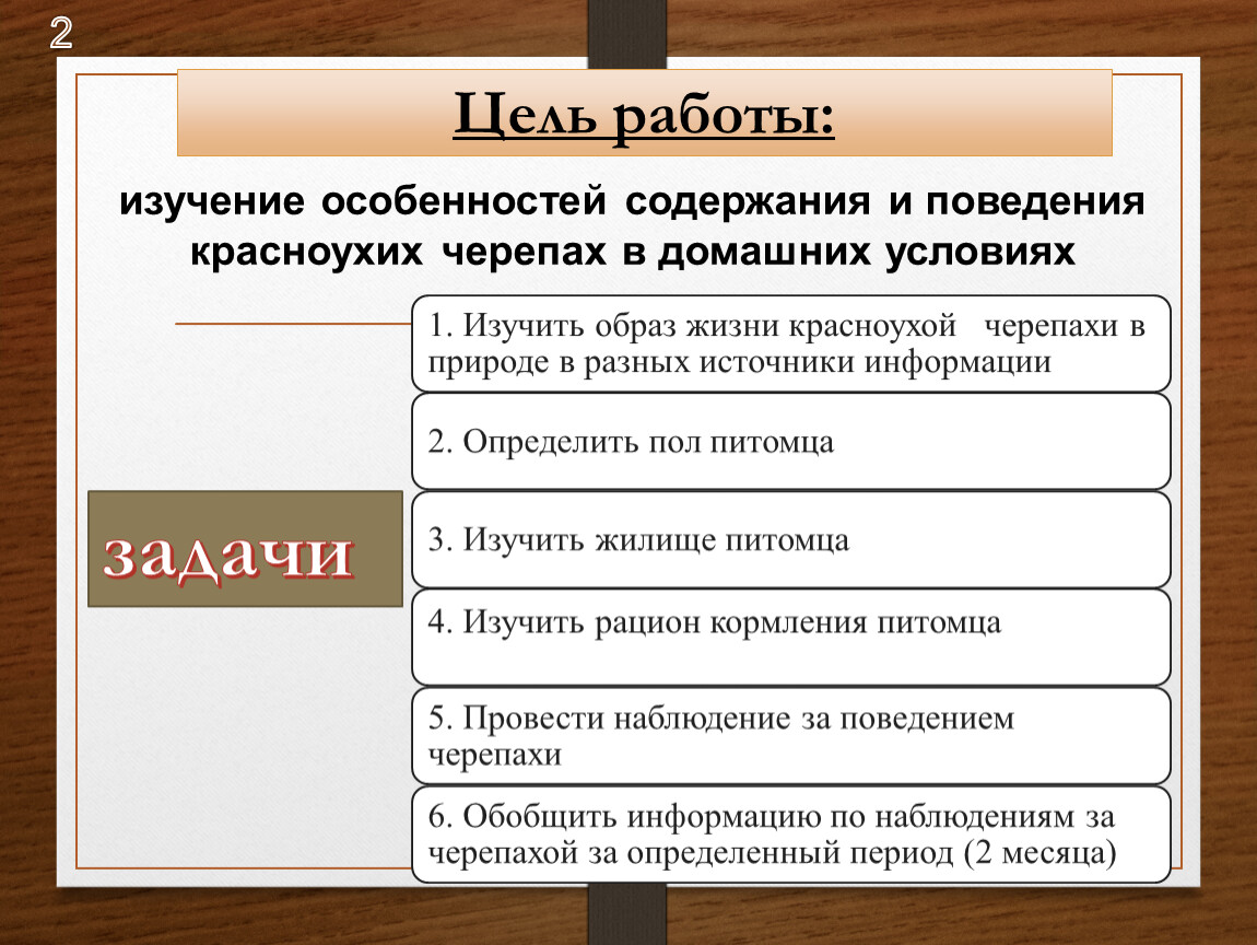Цель работы: изучение особенностей содержания и поведения красноухих черепах в домашних условиях задачи 2