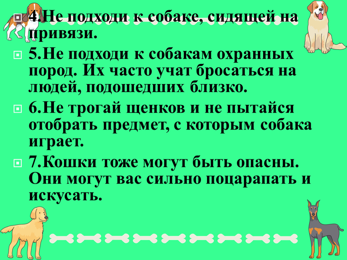 Учимся понимать животных речевая практика 3 класс презентация