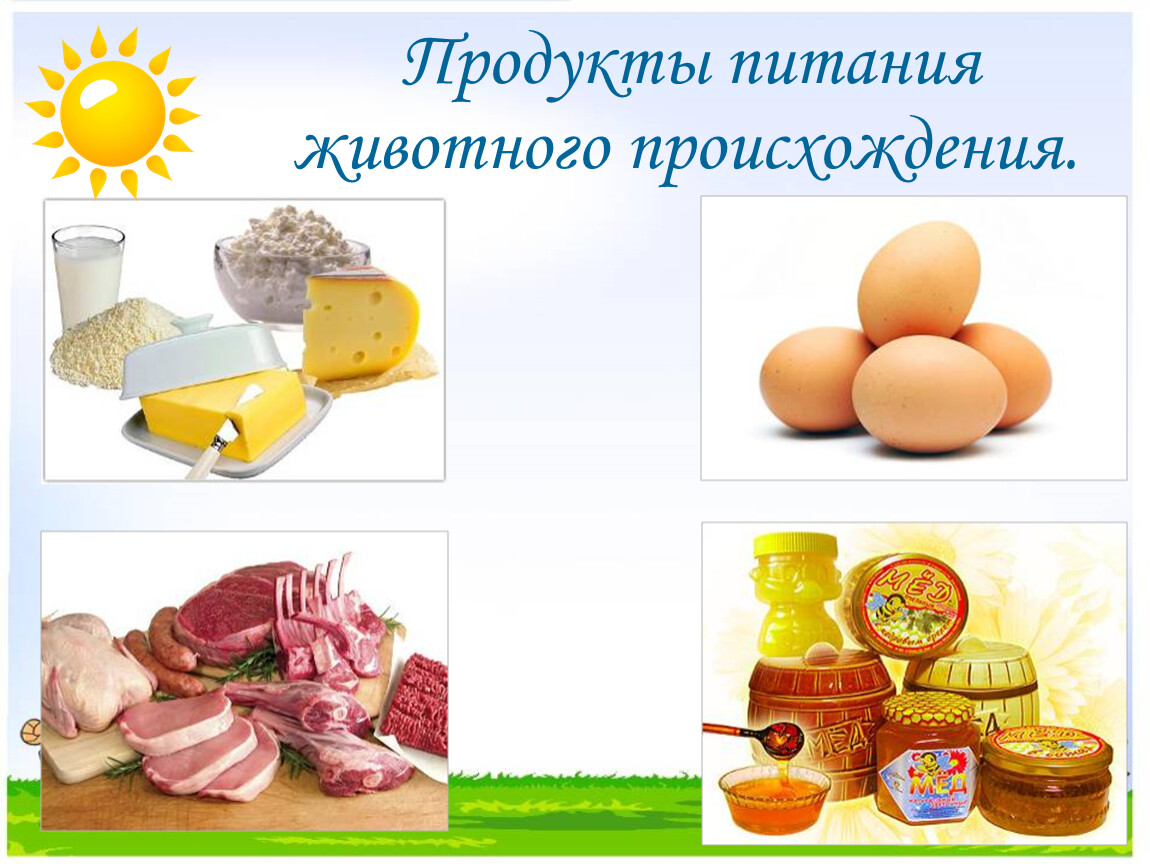 Какие продукты получают. Продукты питания животного происхождения. Презентация продукты питания. Пищевые продукты животного происхождения. Продукты от домашних животных.