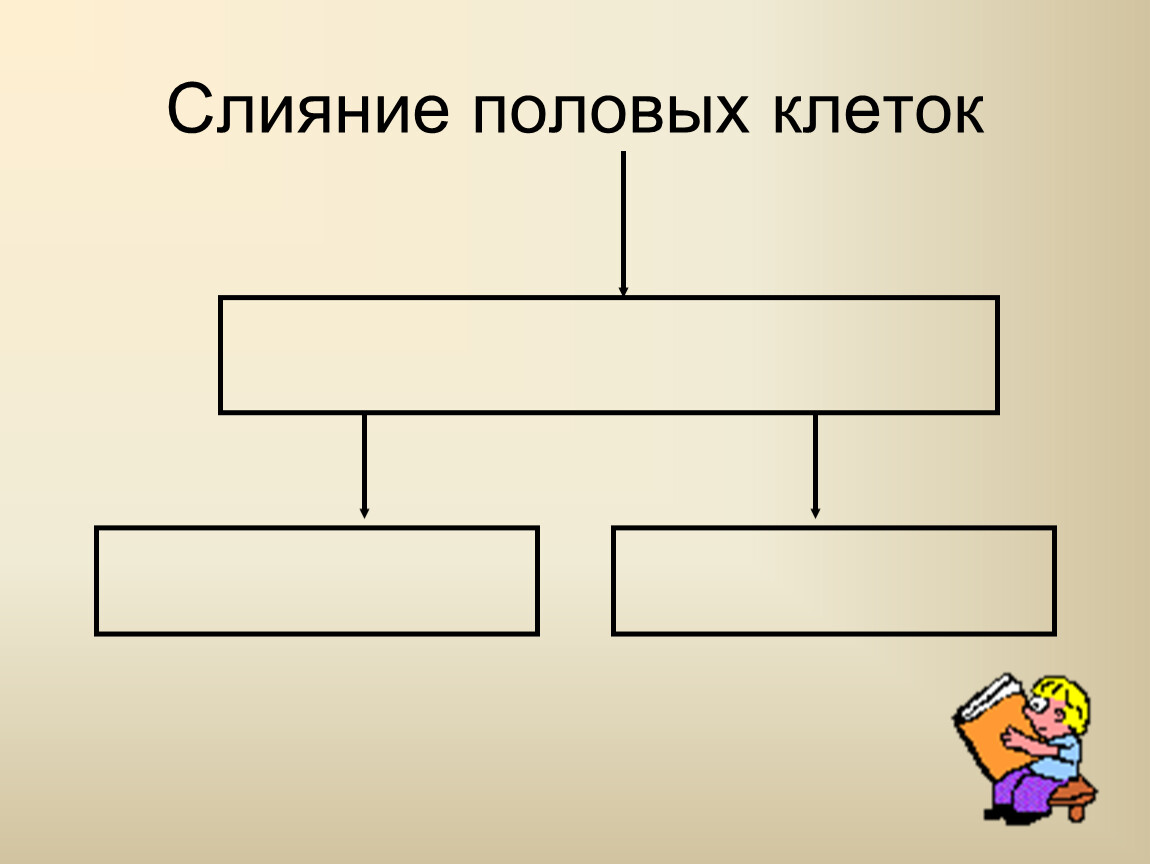 Синтаксическая схема илиответ соответствует синтаксическому уровню языковой структуры