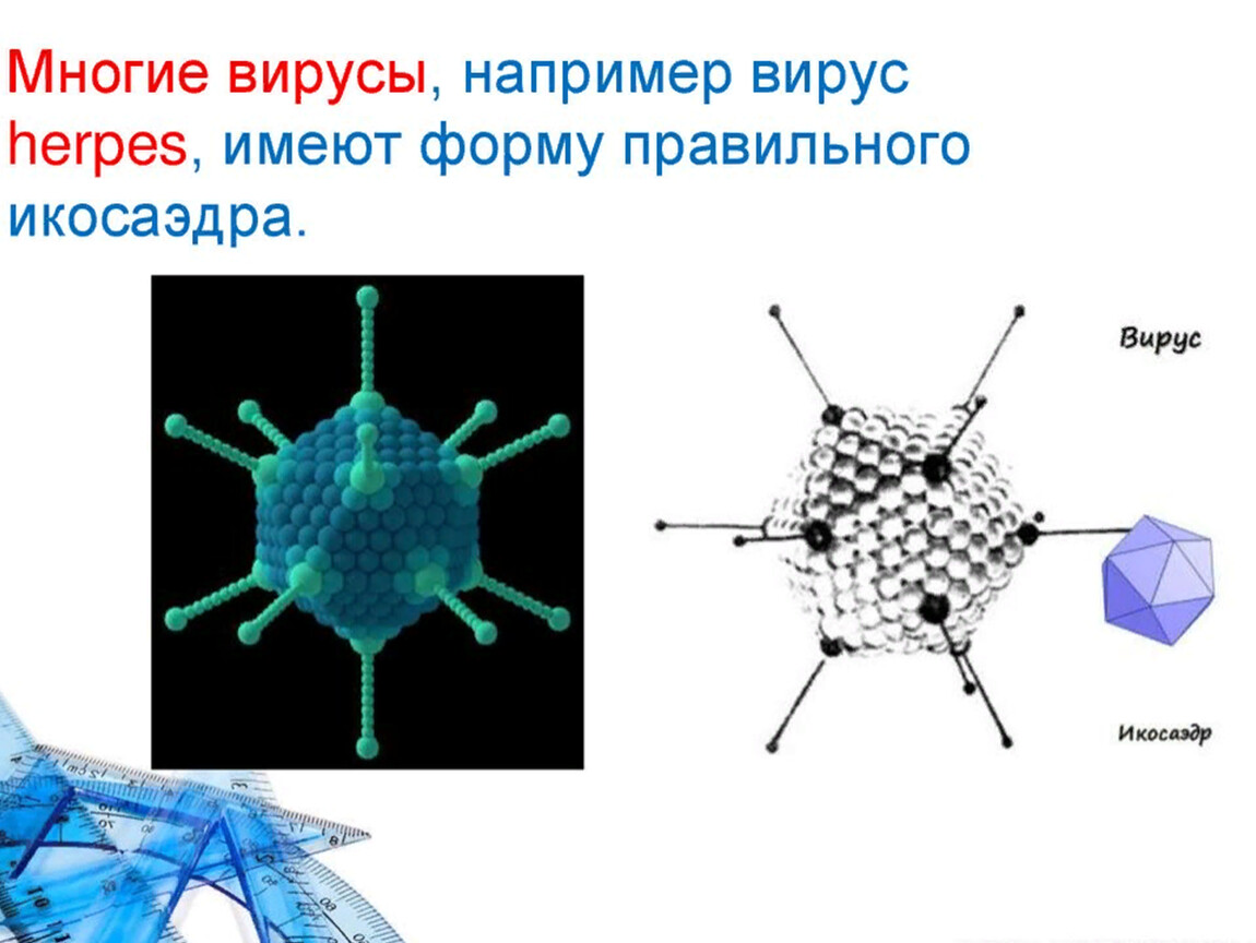 Вирусы имеют. Многогранники в природе вирусы. Вирус полиомиелита икосаэдр. Правильные многогранники вирусы. Вирусы в форме многогранников.