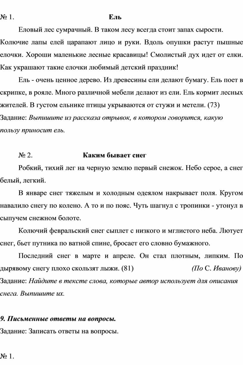 Ель Еловый лес сумрачный. В таком лесу всегда стоит запах сырости