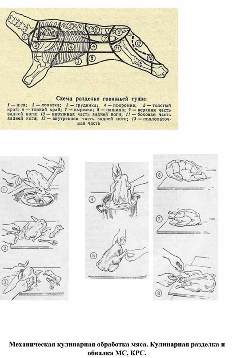 Механическая обработка мяса схема