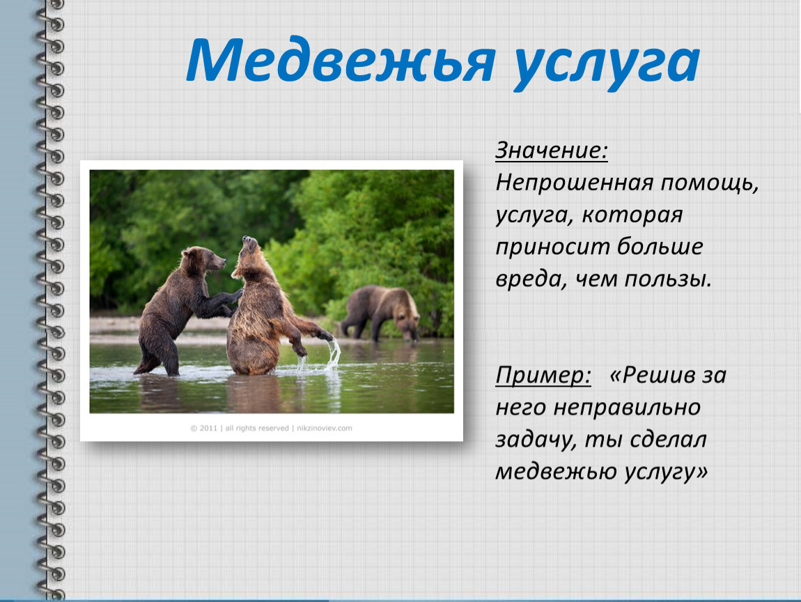 Медвежьи Знакомства На Qbear Ru
