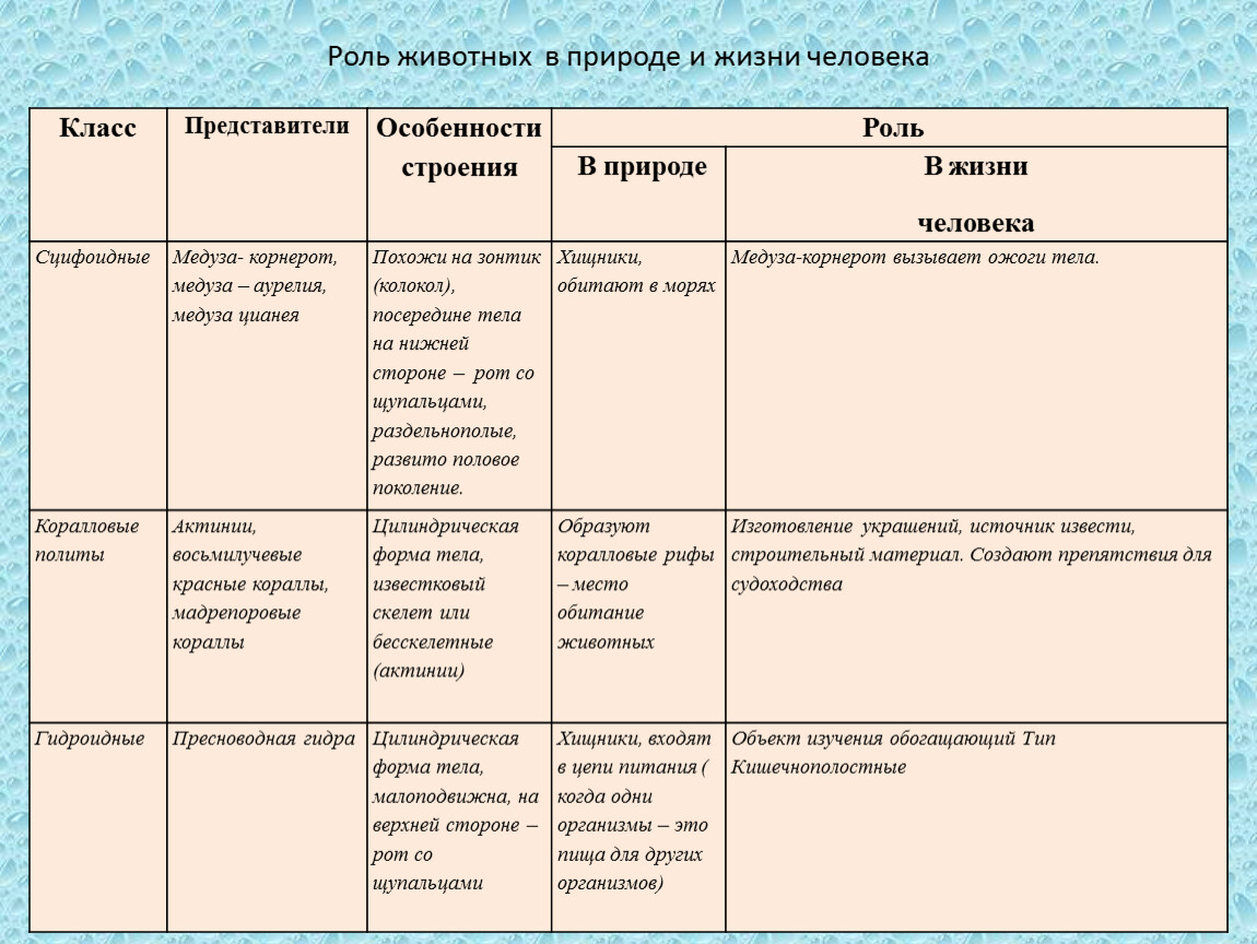 Форма тела ответ. Тип Кишечнополостные 7 класс биология таблица. Таблица Кишечнополостные 7 класс биология. Таблица разнообразие кишечнополостных 7 класс биология. Разнообразие кишечнополостных 7 класс таблица по биологии.