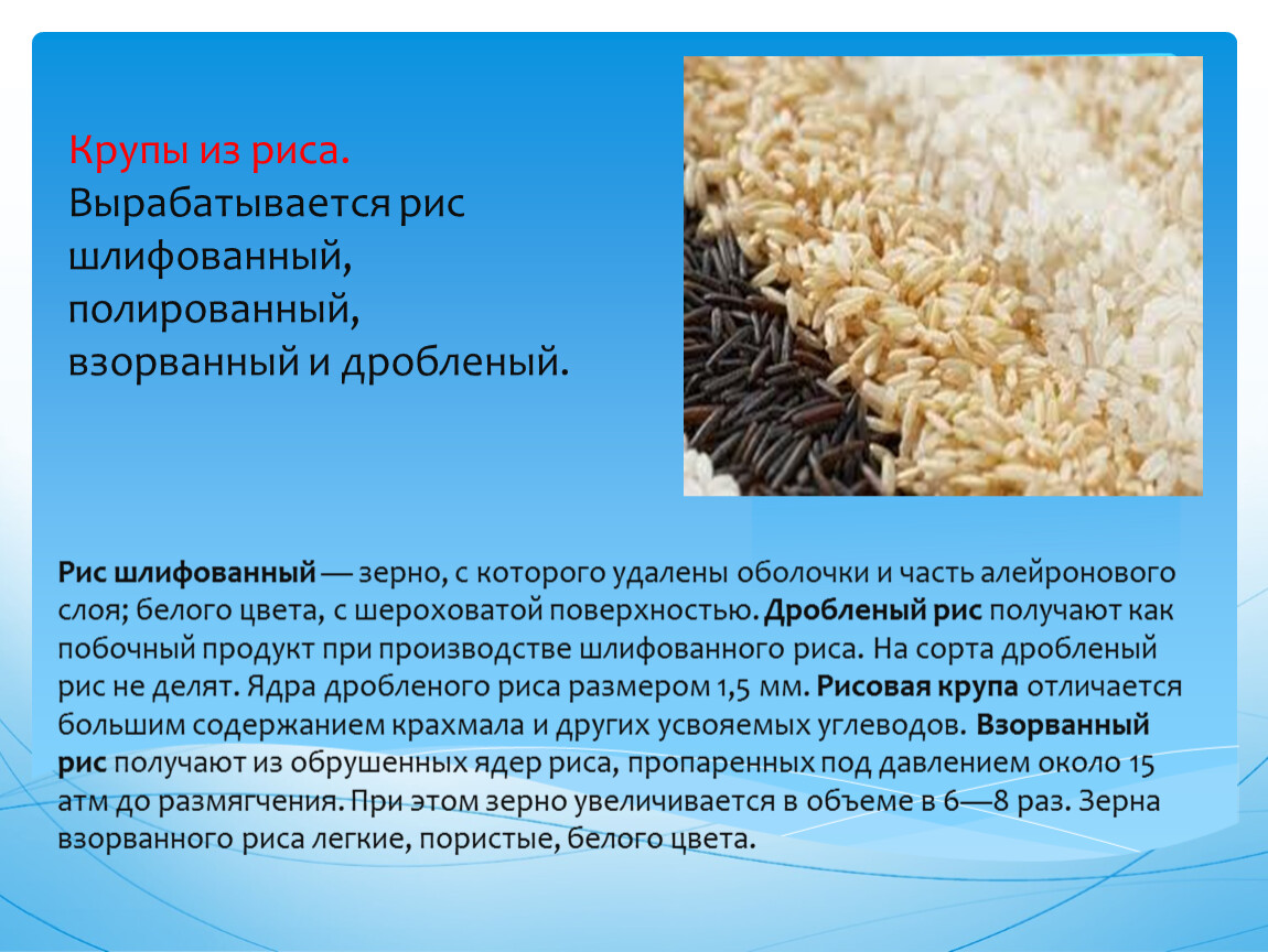 Различие риса. Рис. Крупы из риса. Внешний вид рисовой крупы. Презентация на тему рис.