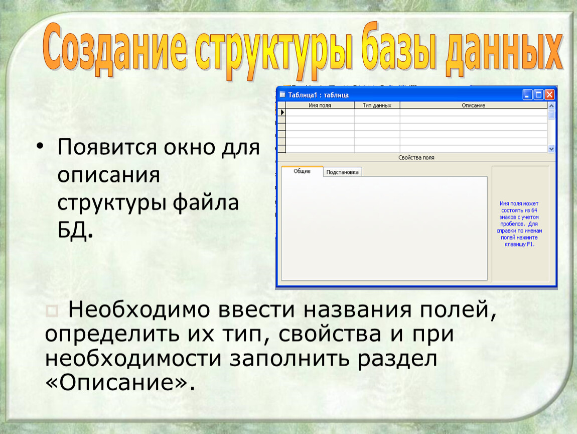 Формирование базы данных. Разработка структуры базы данных. Создание структуры БД. Структура базы данных название поля. Описание структуры БД.