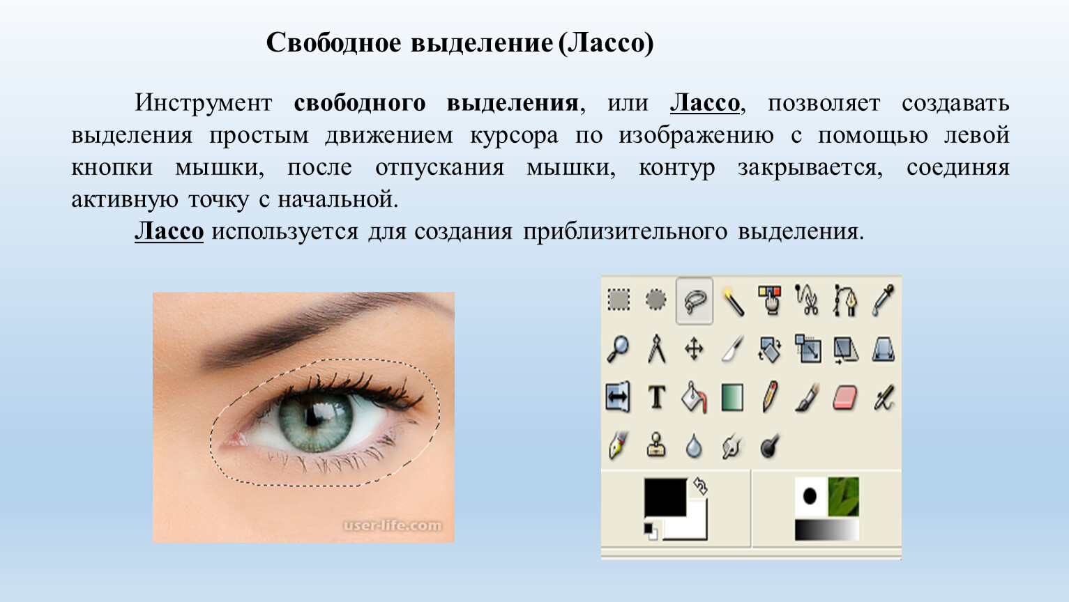 Свободное выделение (Лассо) Инструмент свободного выделения , или