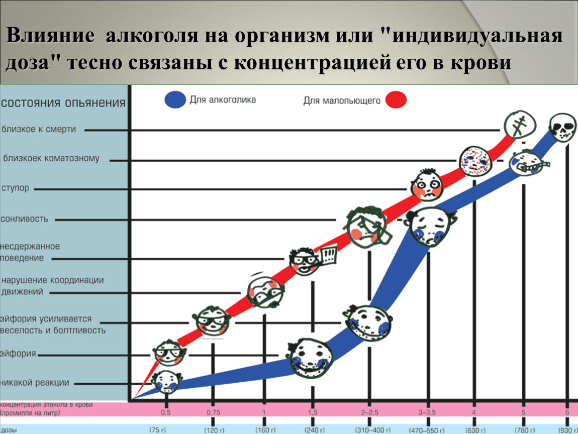 Индивидуальный проект влияние алкоголя на организм человека