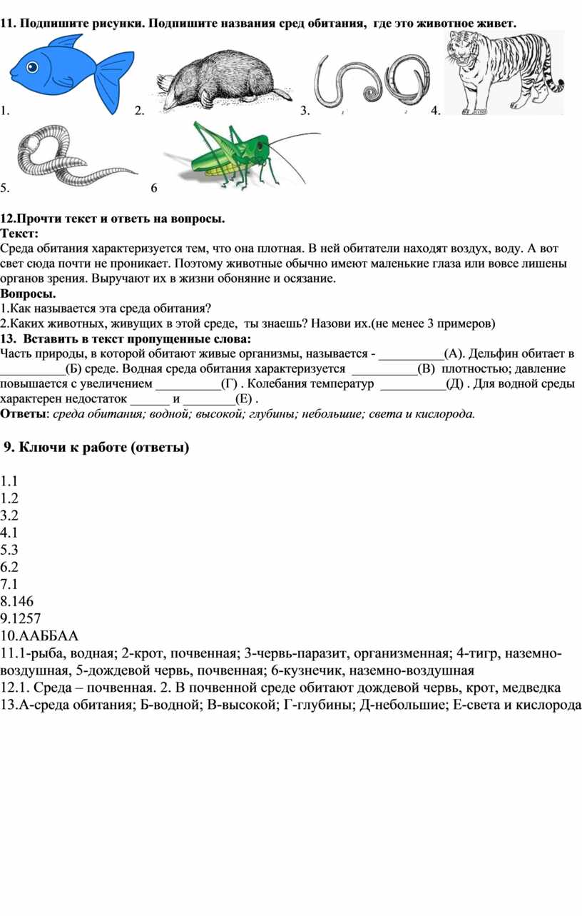 Контрольно-измерительные материалы по биологии 5-7 класс